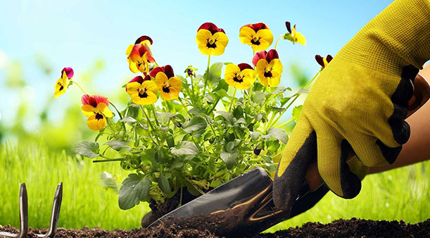 Para que são utilizadas as luvas de trabalho?